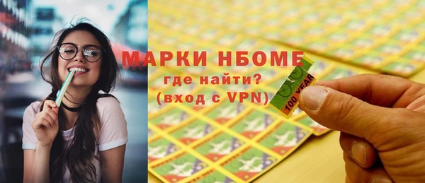 шишки Арсеньев