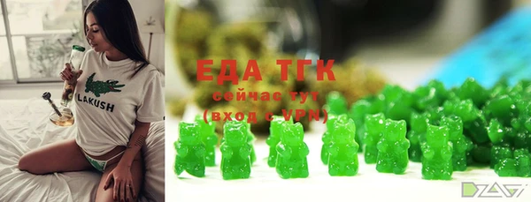шишки Арсеньев