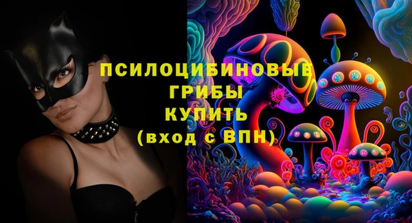 шишки Арсеньев