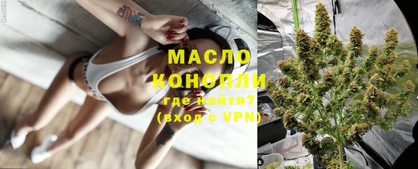 шишки Арсеньев